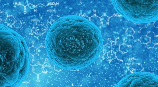 Articulo que habla del beneficio del ejercicio.